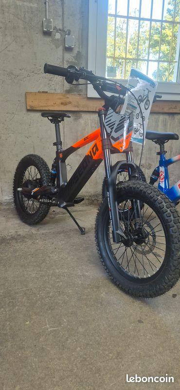 Draisienne Électrique Sedna Enfant | Mini Moto Cross | Neuf | Garantie | Revendeur Pro (image 5)
