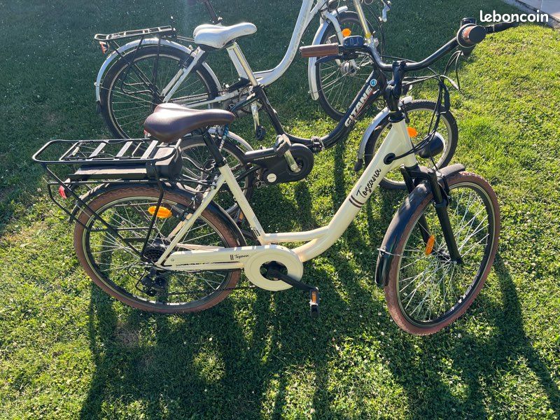 Vends lot vélo électrique sans batterie (image 3)