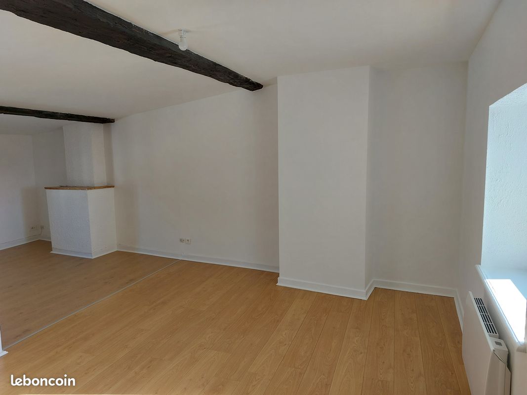 F2 centre ville Lons le Saunier (image 1)