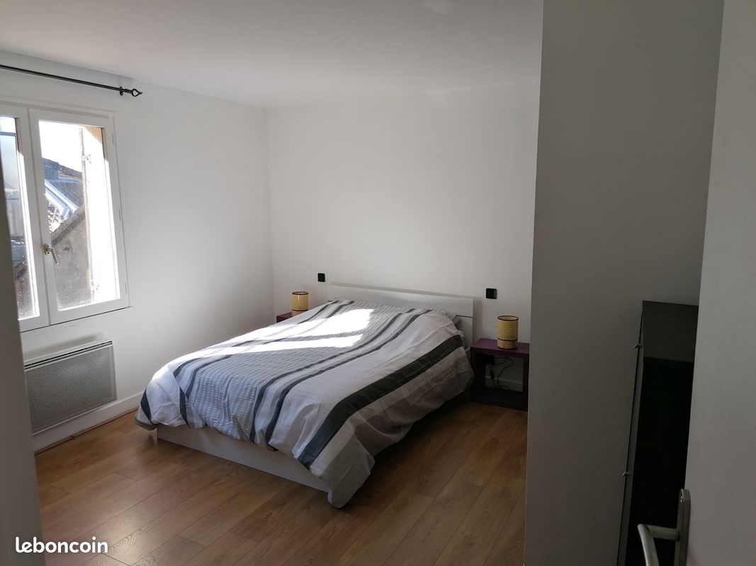 T2 meublé hyper centre - Limoges 87000 Centre-Hôtel de Ville Emailleurs (image principale 2)