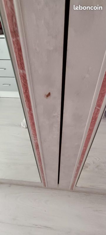 Armoire et bureau uni (séparé mais je fait un lots) (image 5)