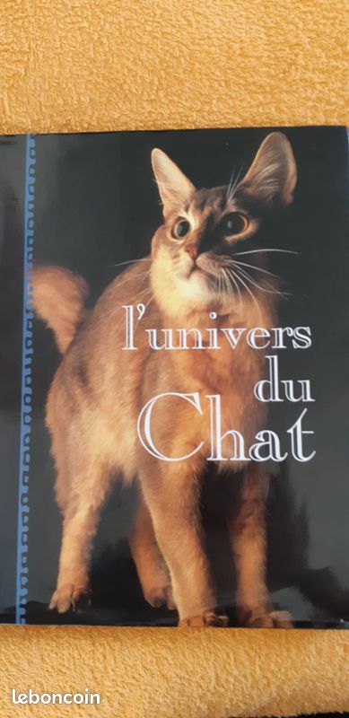 Univers des chats (image 3)