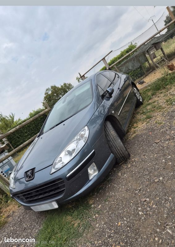 Peugeot 407 2l hdi 16v 138cv (image 1)