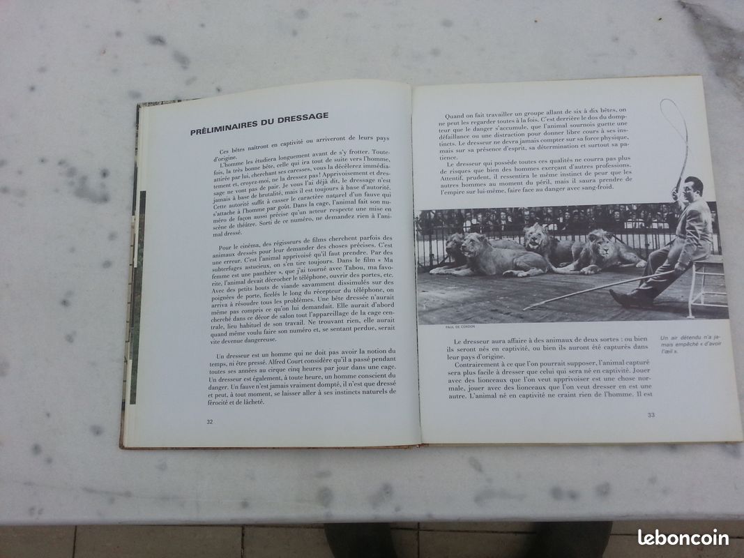 Envoyez les lions Ou le métier de dompteur (image 9)