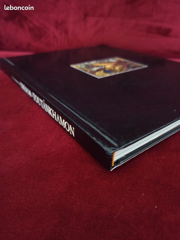 Livre A la recherche du trésor de Toutankhamon (image 2)