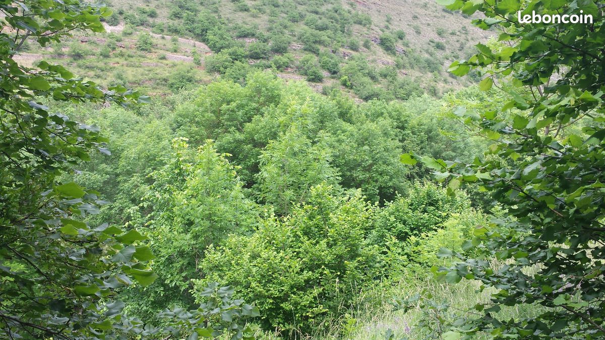 Terrain constructible proche Millau · 15 000 €