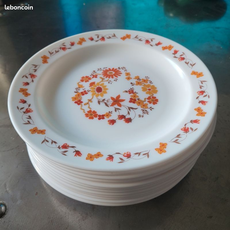 Lot De 12 Assiettes à Dessert Arcopal – Décor Fleurs – Verre – Très Bon état