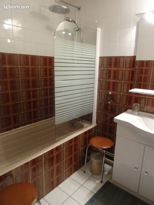 APPARTEMENT A LOUER AU CENTRE Des DEUX ALPES (image 3)