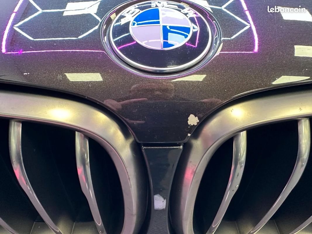 BMW X6 F16 xDrive 30d 258 ch M Sport A Pack M (image 39)