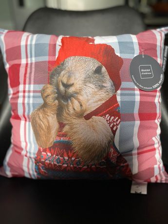 Coussin d'occasion - Annonces décoration leboncoin