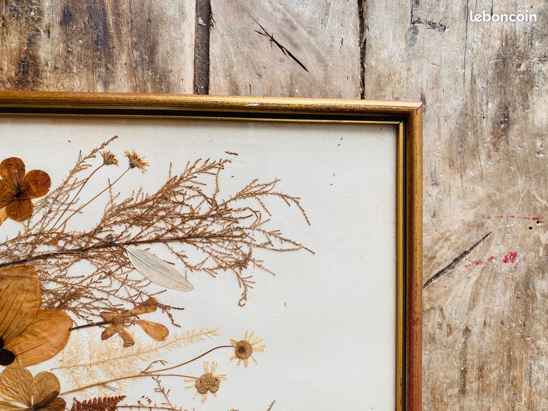 Cadre Tableau Vintage Fleurs Séchées - 27x22 Cm - Neuf