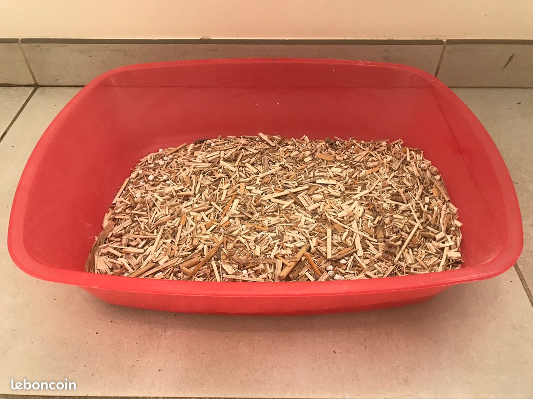 Paille de miscanthus (image 2)