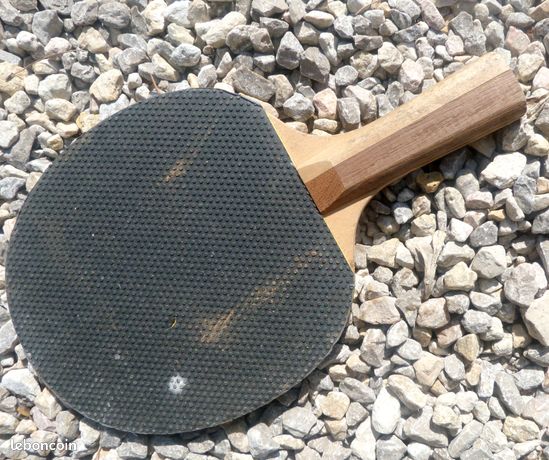 Tennis de table : carton plein pour le Club de l’amitié de Guerlédan