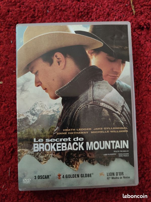 DVD le secret de brokeback mountain (image 1)