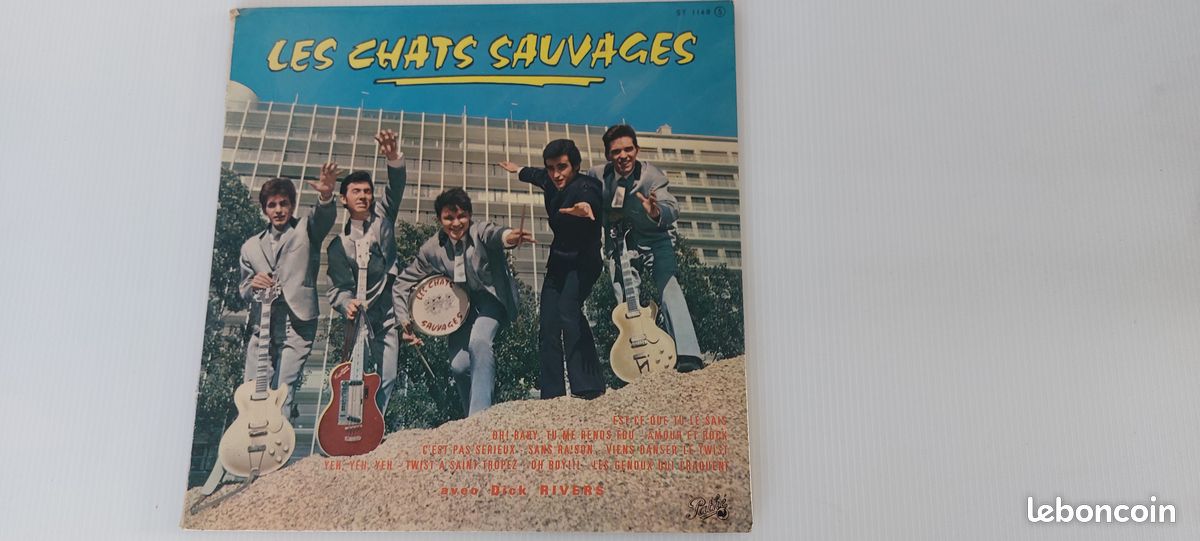 Disque vinyle 33 tours (image 1)