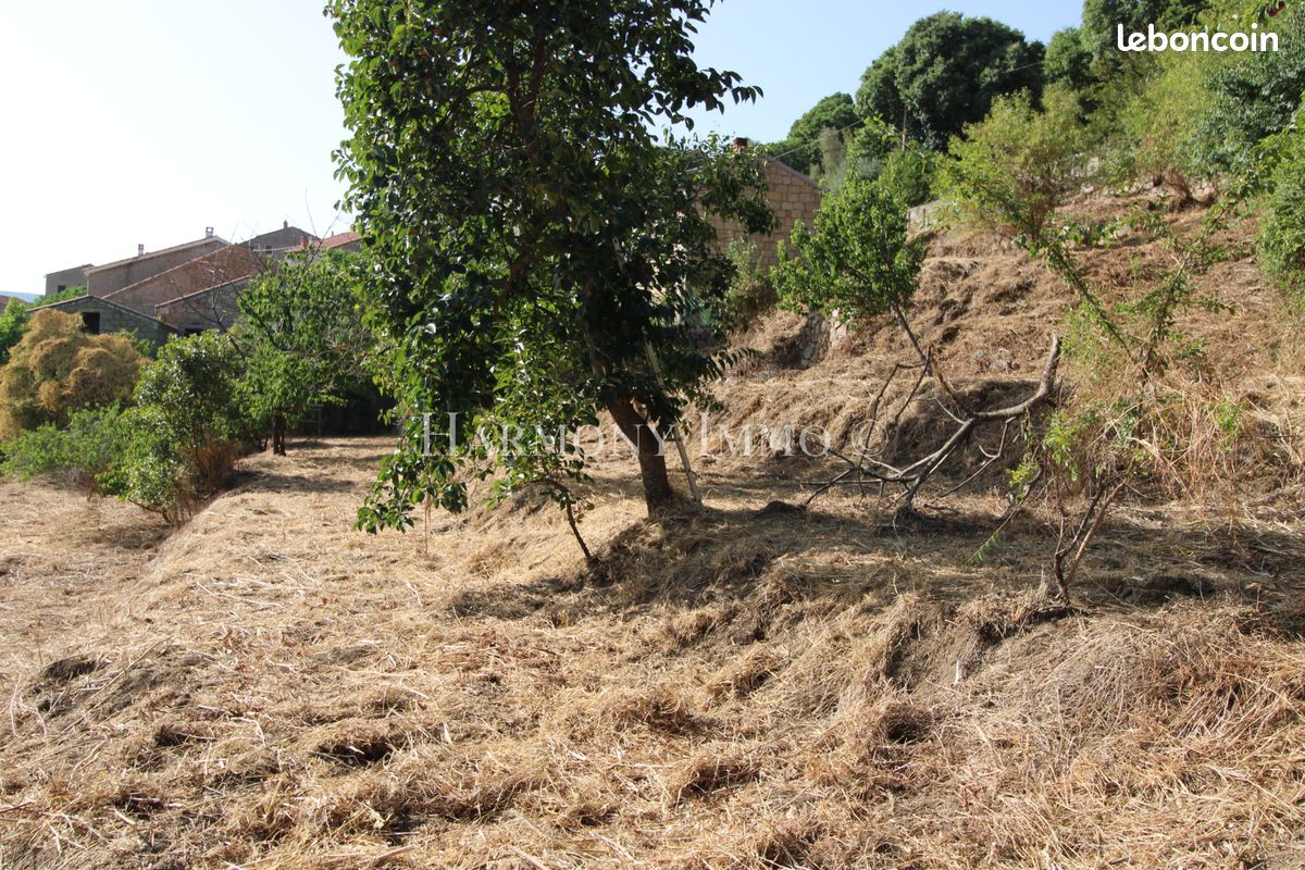 Terrain 2154 m² · à Pila-Canale · 2 154 m² · 198 000 €