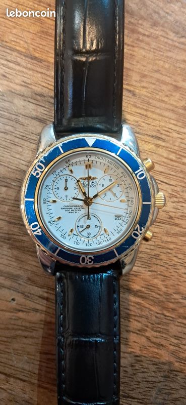 Montre Sector Chronographe 250 - Cadran Bleu, Boîtier Argent, Cristal Saphir, étanche 100m