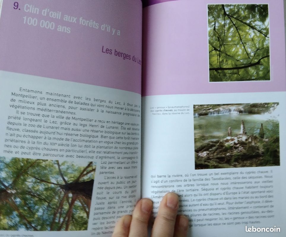 Histoire de la garrigue (image 2)