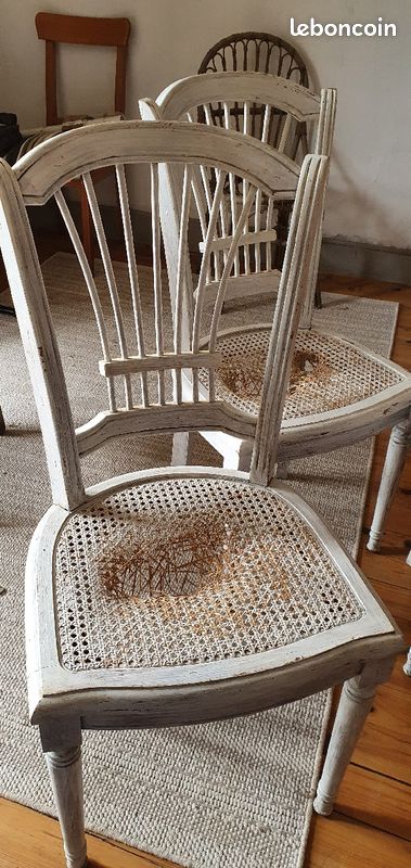 4 chaises cannées anciennes (image 2)