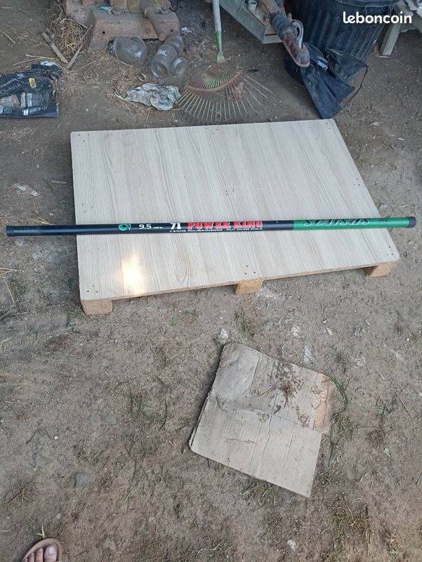 Canne 9.5 m (image 1)