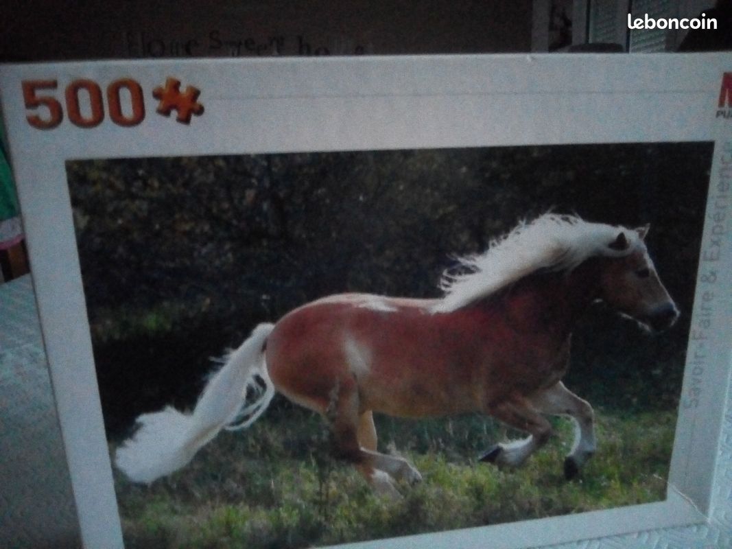 Puzzle 500 pièces (image 1)