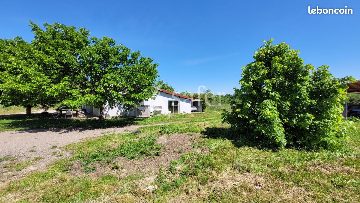 Maison 5 pièces 110 m² · à Albi · 110 m² · 230 000 €