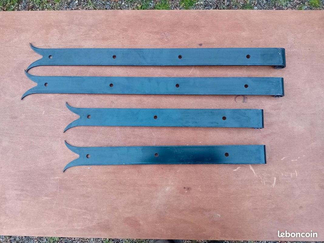 Penture queue de carpe (image 2)