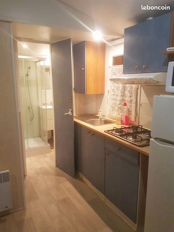 PROMO grand mobilhome climatisé plage et port argeles sur mer à pied