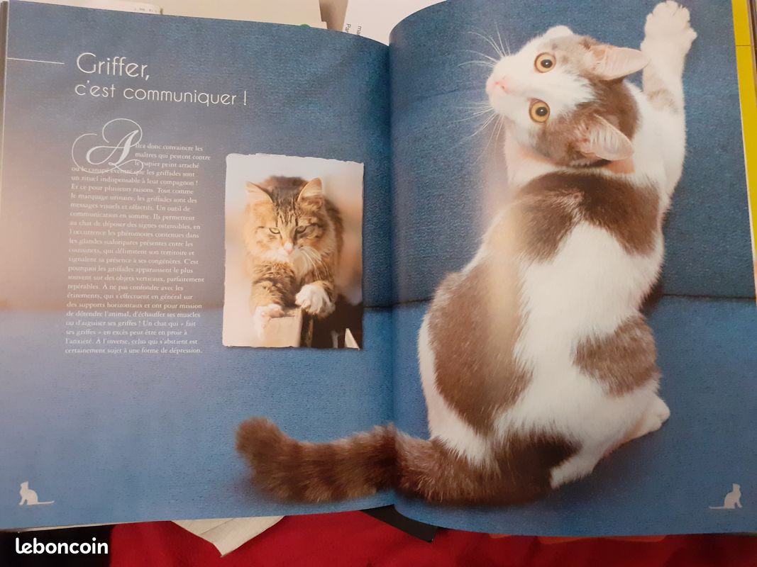 Livre chats (image 3)