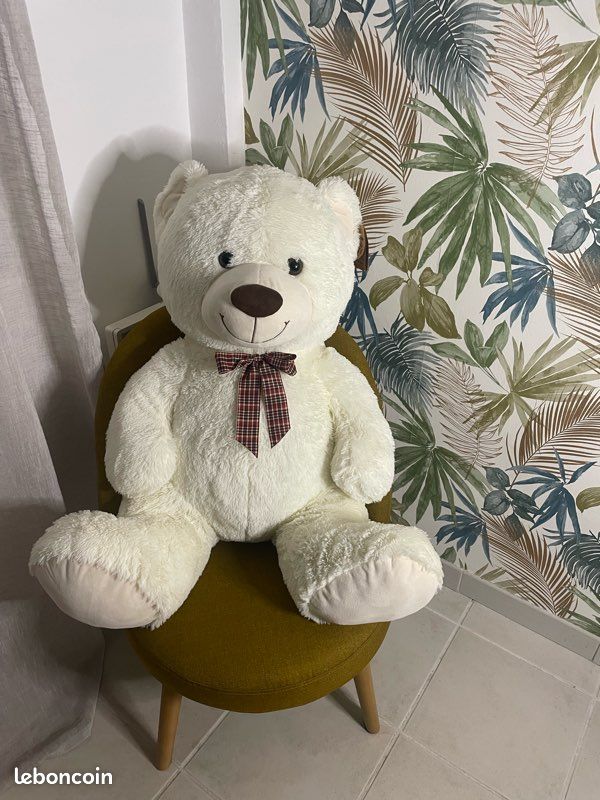 Ours en peluche (image 1)