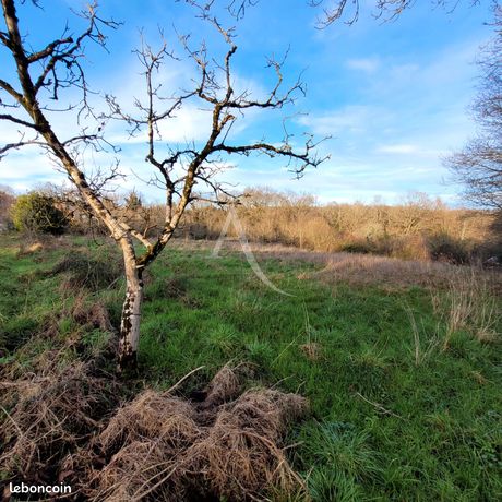 Terrain 3512 m² LE CHAMP SAINT PERE