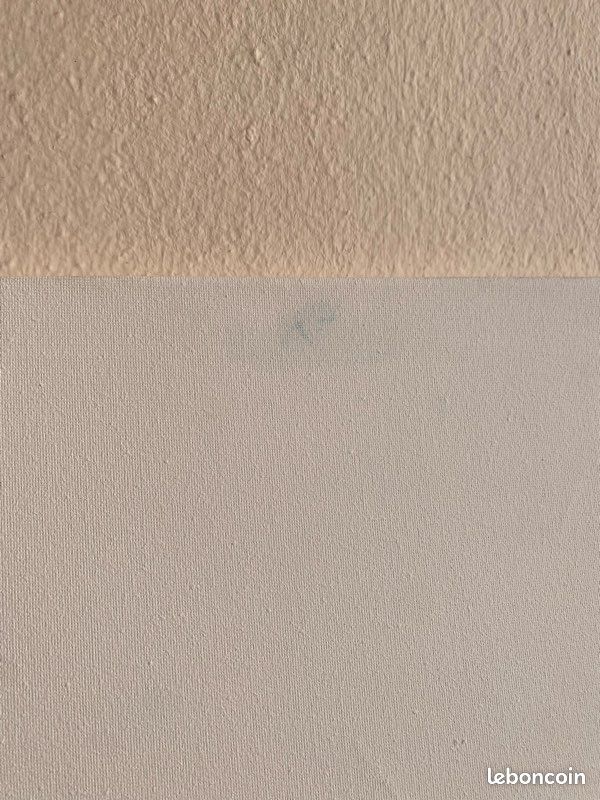 Toile de peinture vierge (image 3)