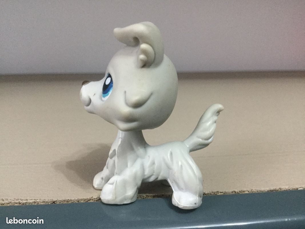 Littlest Pet Shop #363 - Chien Colley HASBRO - Authentique