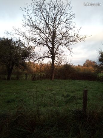 Terrain 12600 m2