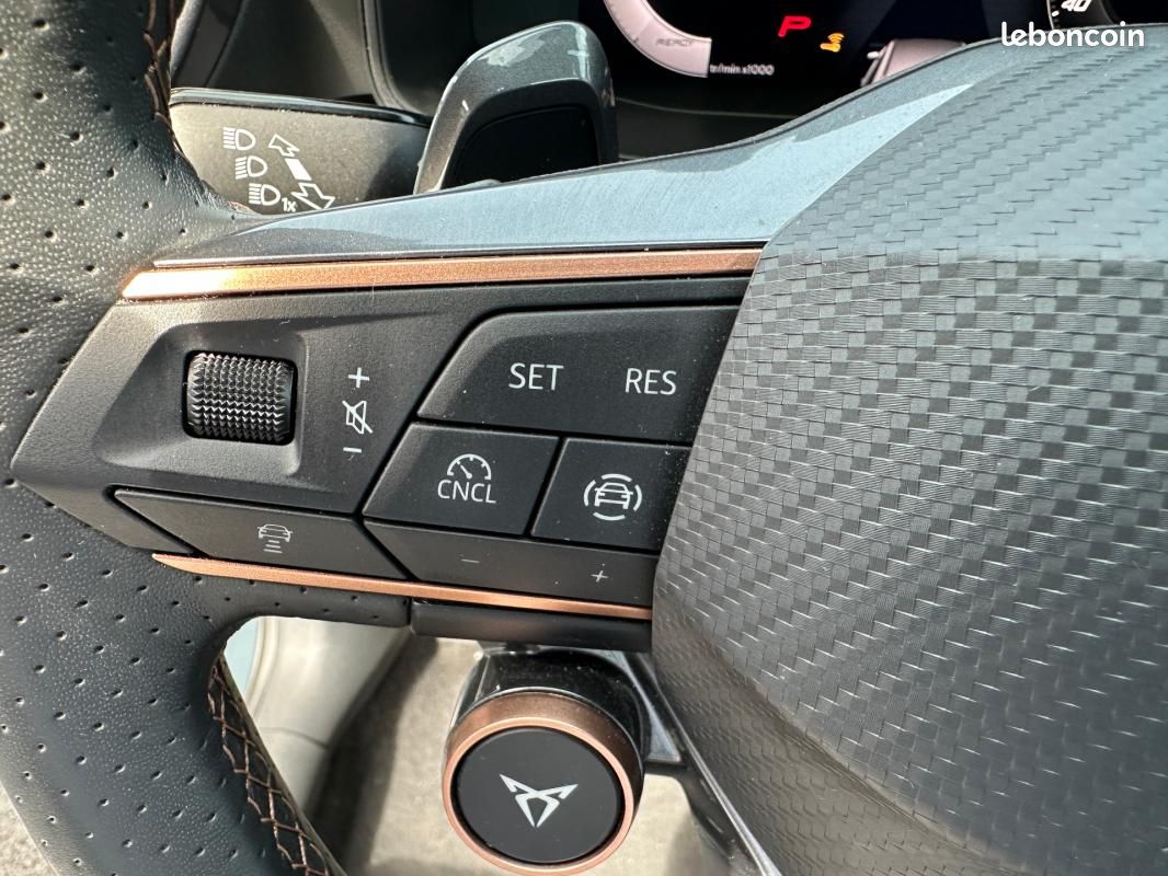 Cupra Formentor 2.0 TDI 150 ch DSG7 V (image 13)