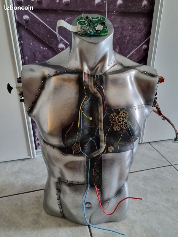 Bustes decoratifs (image 1)