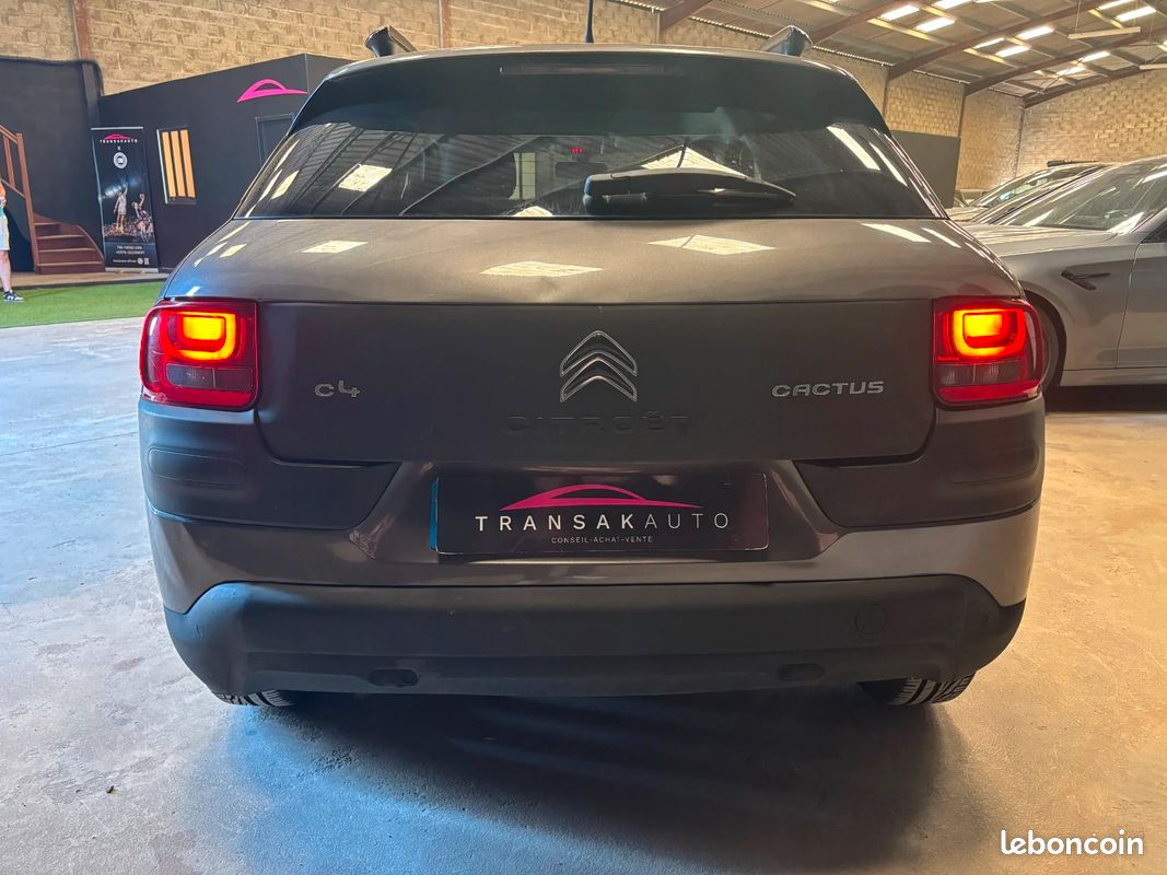 CITROEN C4 CACTUS BlueHDi 100 Shine *DISTRIBUTION OK (image 4)