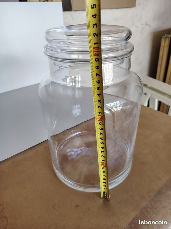 Terrarium en verre/bonbonne (image 3)