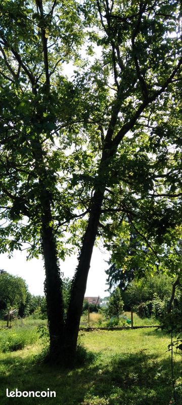 Vends Terrain de loisirs · à Vaujours · 40 000 €