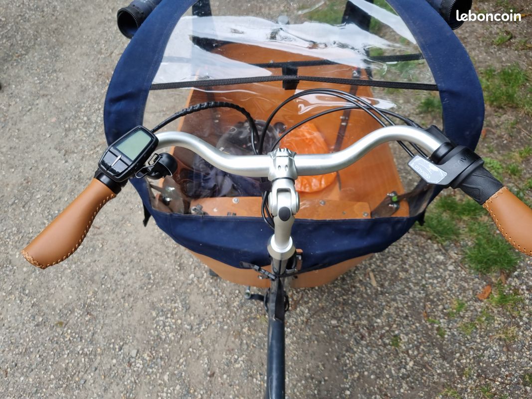Velo Cargo Babboe city mountain (image 3)