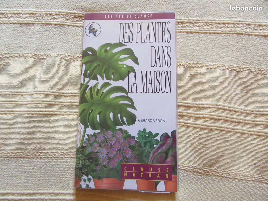 Les plantes dans la maison (image 1)