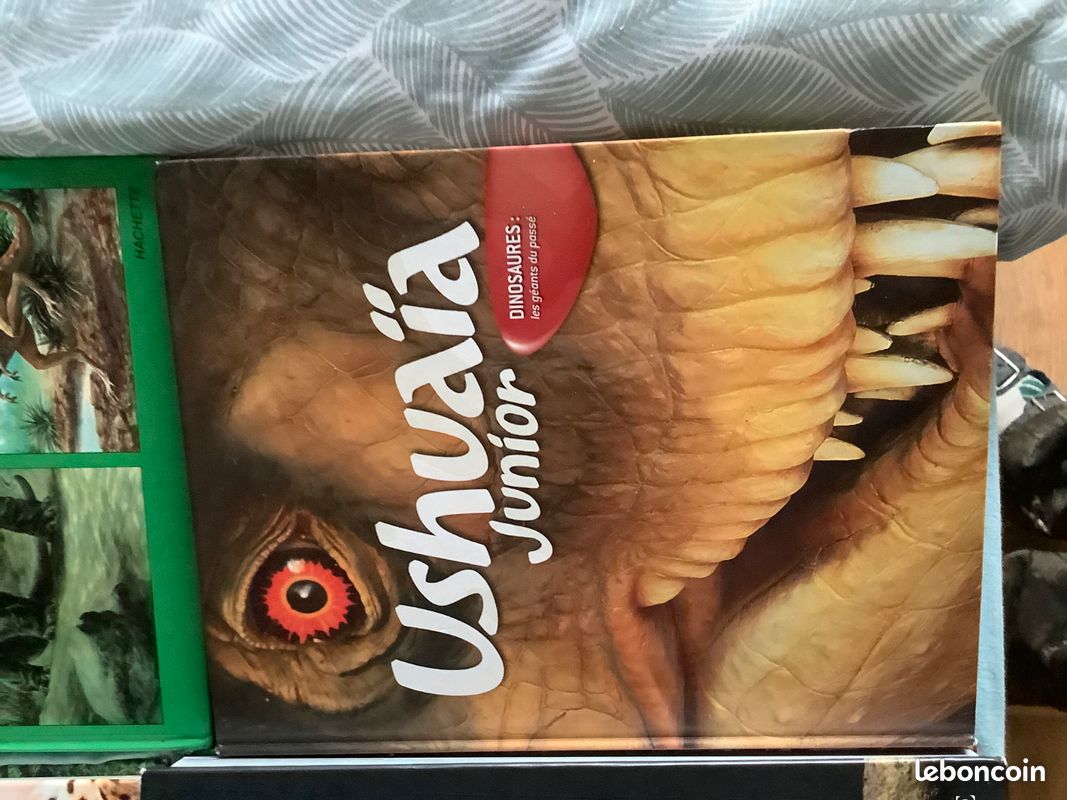 Livres sur les animaux, les dinosaures et le corps humain (image 17)