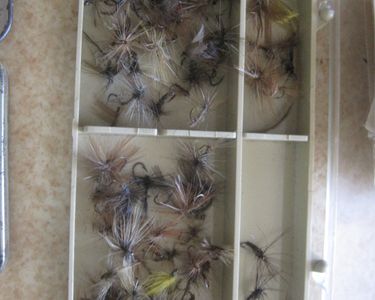 LOT DE 5 Boites De Plumes Anciennes/ Écriture/ Déco Bureau EUR 12,00