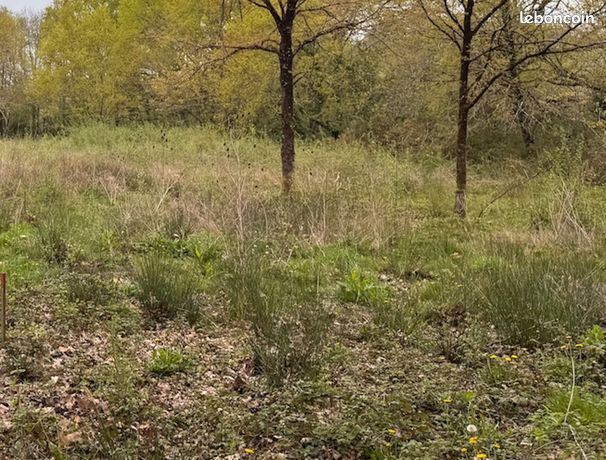 Terrain 700 m² Martillac