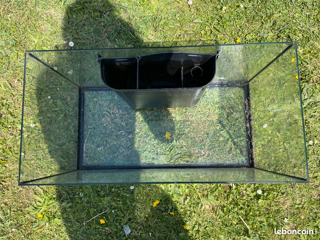 Aquarium (image 2)