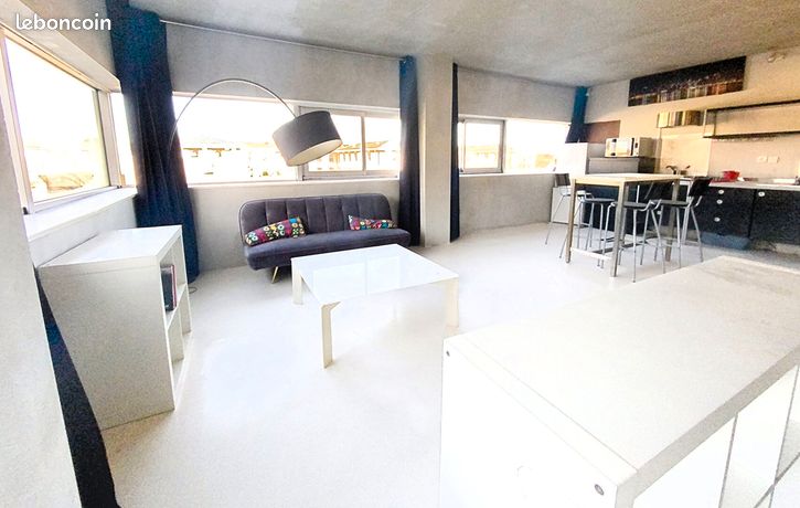 Loft/atelier/surface 1 pièce 45 m²