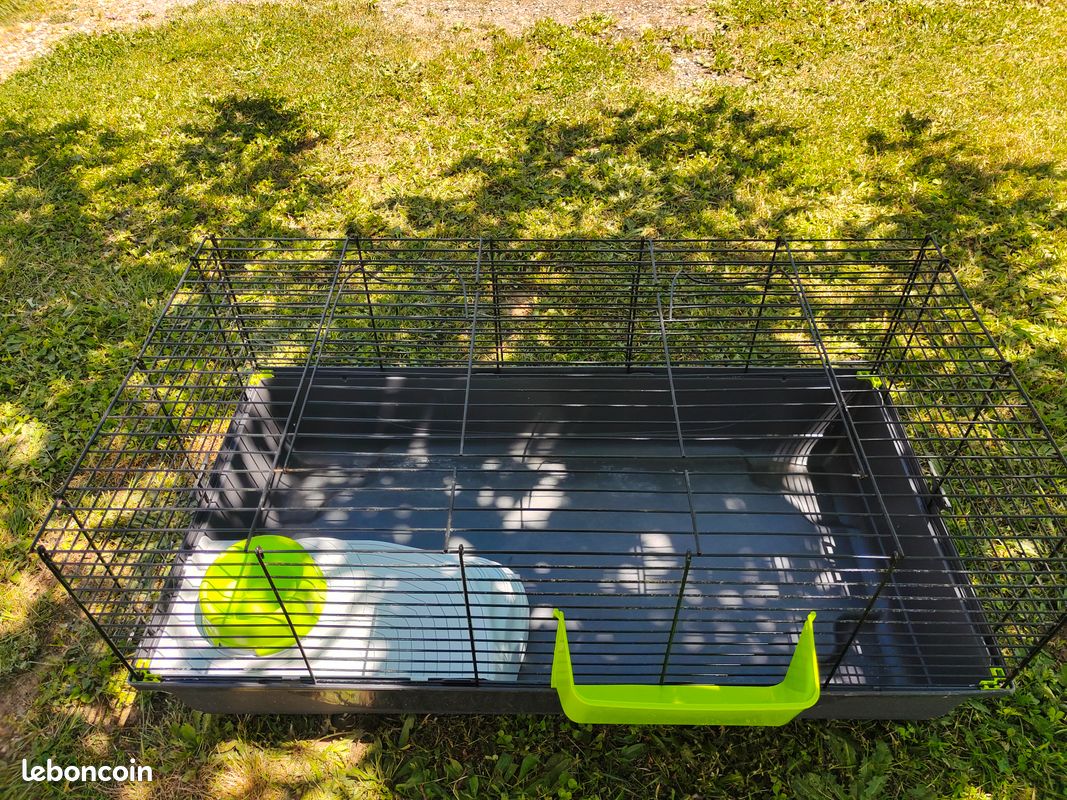 Cage à cochon d'Inde, lapin , hamster et autres animaux (image 1)