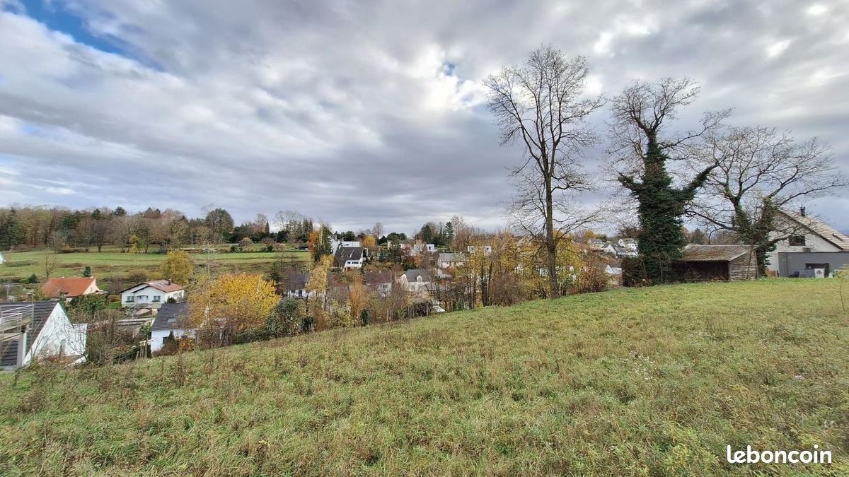 Terrain 556 m² Buschwiller · 222 400 €