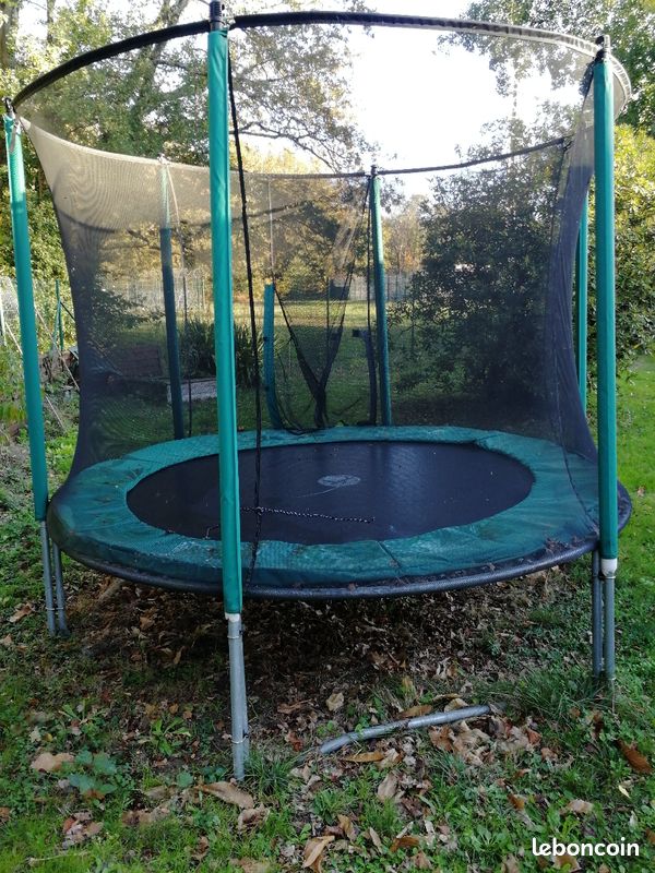 Trampoline (image 3)