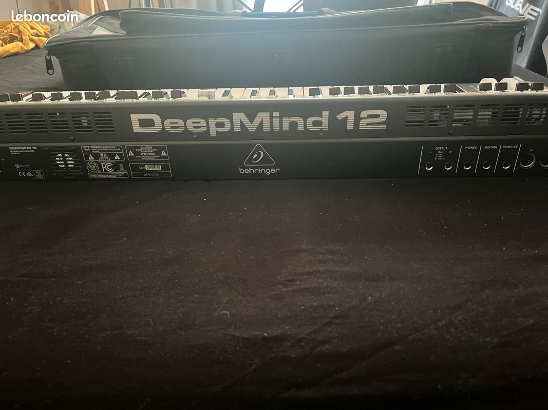 Behringer Deepmind 12 + housse (image 2)
